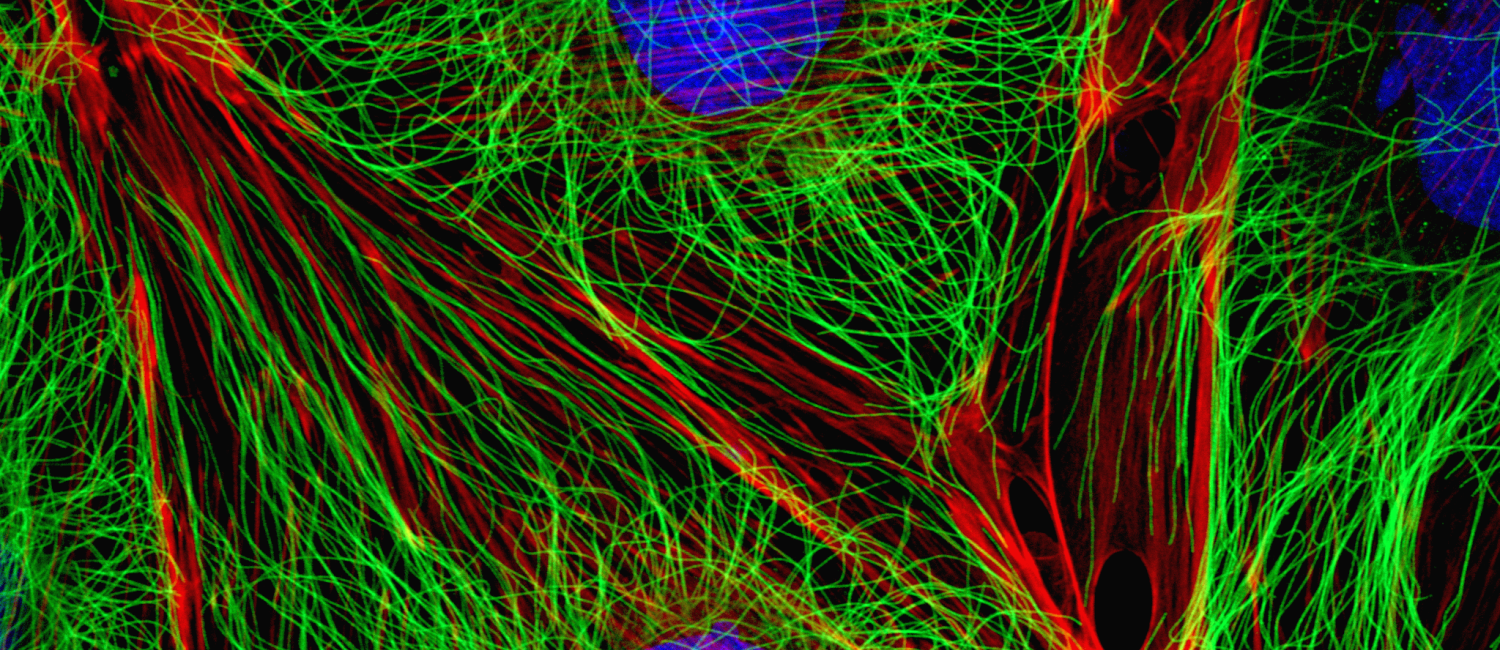 Explore More Life Science Products & Solutions