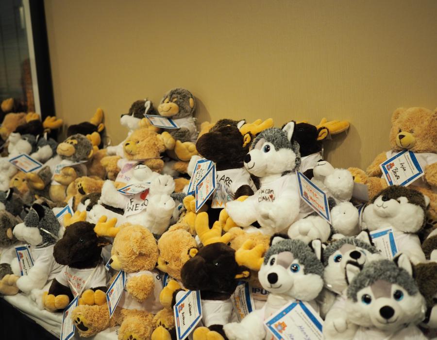 teddy bears for one mission