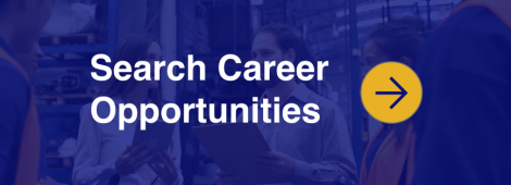 Search Career Opportunities