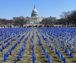Call On Congress Blue Flags
